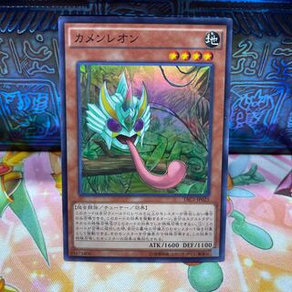 No.539 P屋 Masked Chameleon [Sue