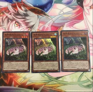 Asian version of Danger! Tsuchinoko? 3 Super Rare