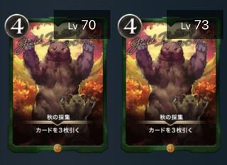 （2枚セット）秋の採集