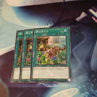 King of Games] That Grass Looks Greener SR 3 copies