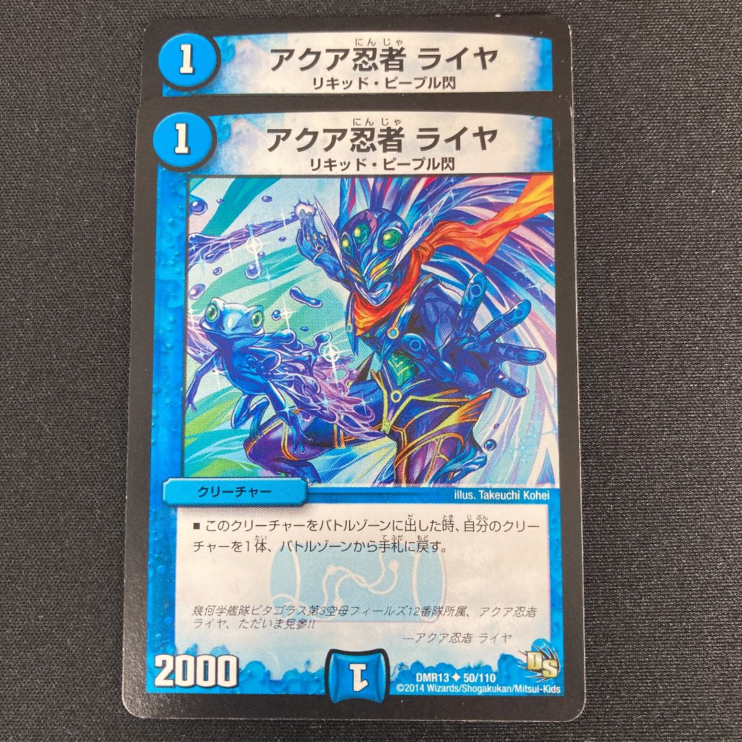 Aqua Ninja Raiya U 2 sheets