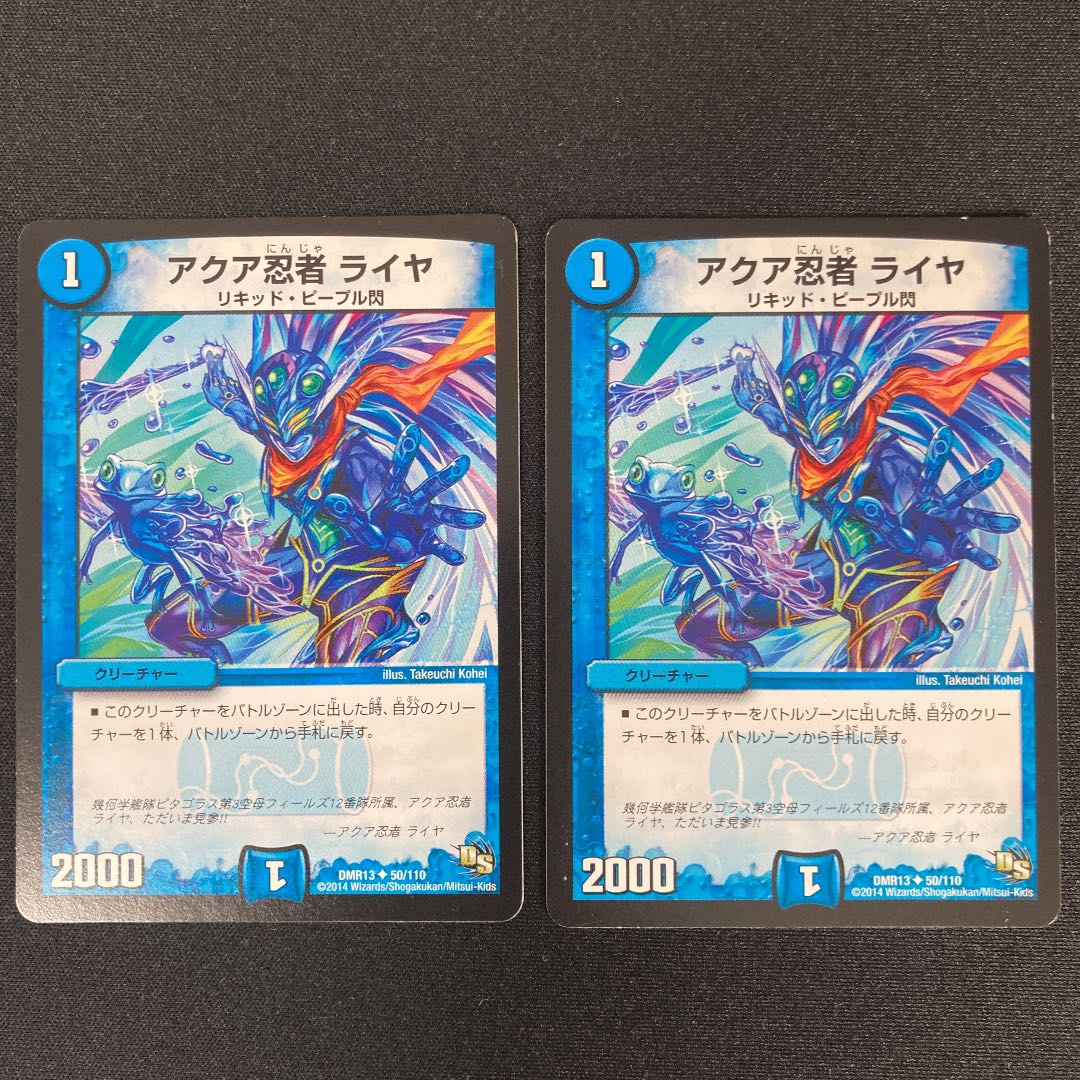 Aqua Ninja Raiya U 2 sheets