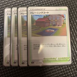 Training Court U s1a