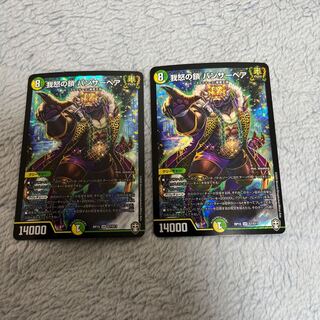 我怒の鎖 パンサーベア