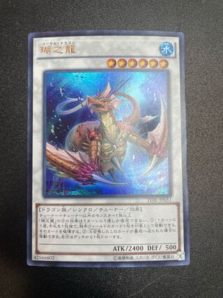 瑚之龍 ウルトラレア