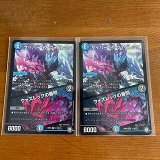 Cyber K. Wozrek｜The Wozrek Inquiry