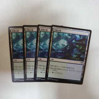 Thornwood Falls Land