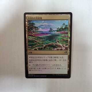 Unknown rest Land (foil)