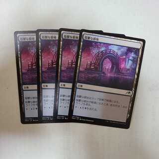 Dismal Backwater Land