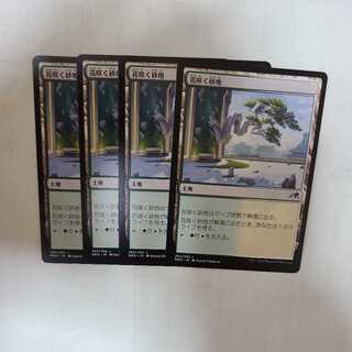 Blossoming Sands Land