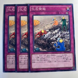 5036 Fossil Excavation☆6477