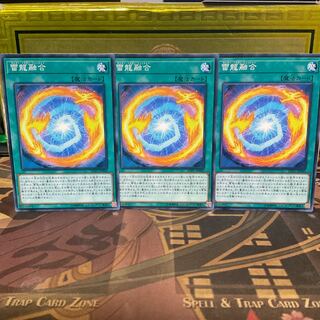 Thunder Dragon Fusion 3 normal Zapdos Dragon Polymerization