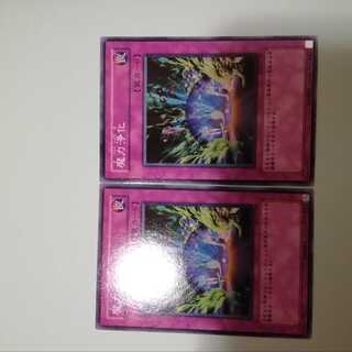 2 Spell Purification