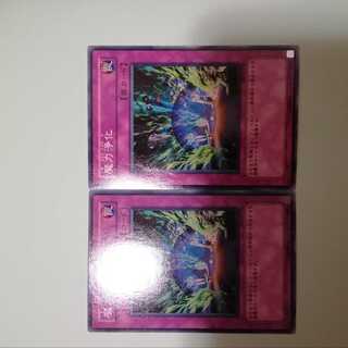 2 Spell Purification