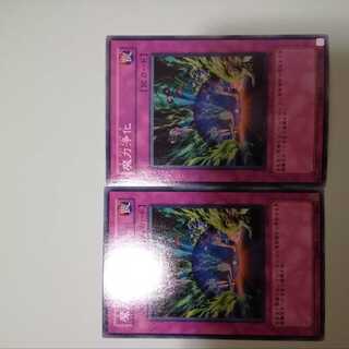 2 Spell Purification