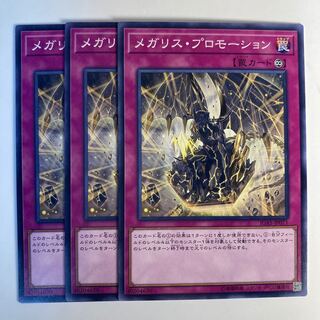 5055 メガリス・プロモーション ノーマル JP071