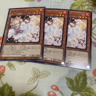 Ash Blossom & Joyous Spring Normal