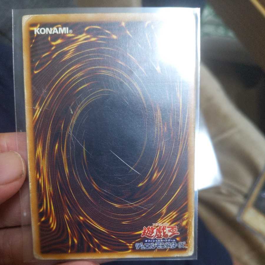 Blue-Eyes White Dragon and Red-Eyes Relief Set for exclusive use of Mr. Yan