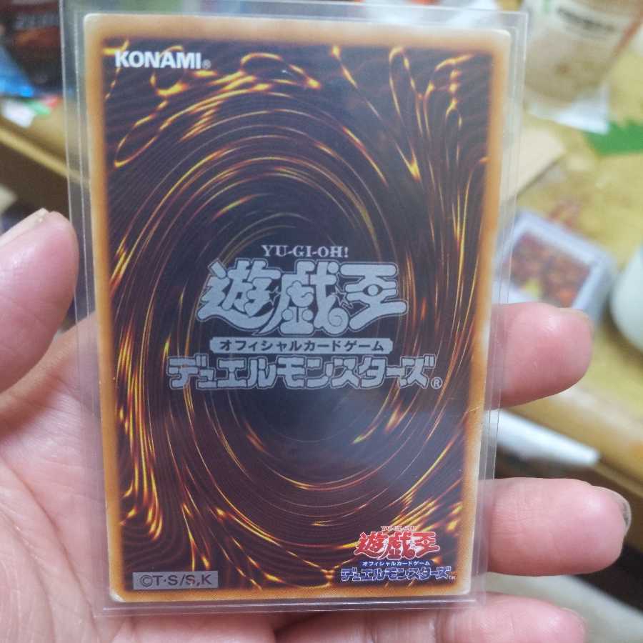 Blue-Eyes White Dragon and Red-Eyes Relief Set for exclusive use of Mr. Yan