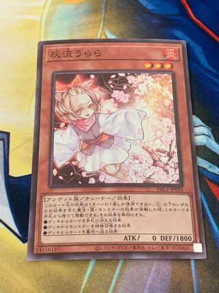 Yu-Gi-Oh! Ash Blossom & Joyous Spring Super