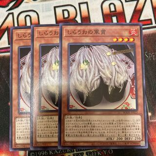 Gunkan Suship Shirauo Normal 3 pieces
