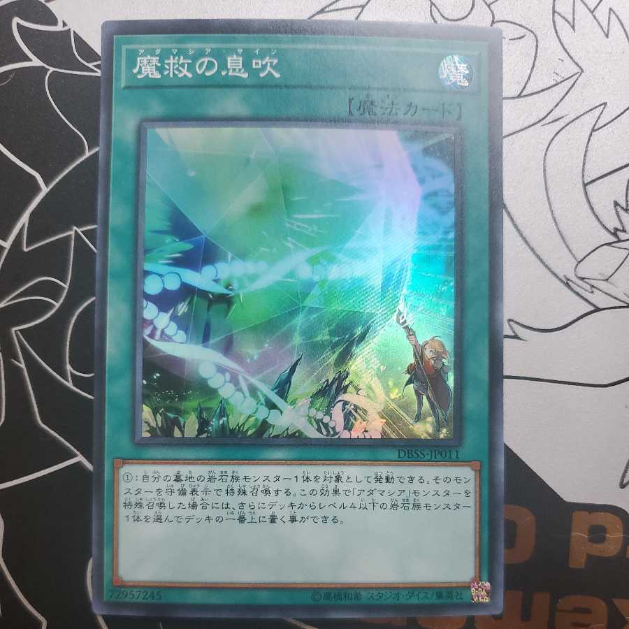 Adamancipator Signs Adamancia Signs