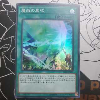 Adamancipator Signs Adamancia Signs