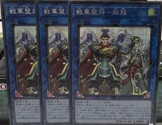 SENKAKU SOURYU Secret Rare