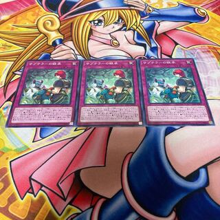 Subterror Succession