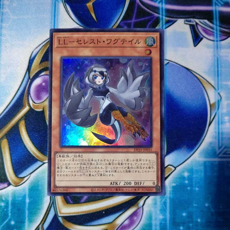LL-Celeste Wagtail Super Rare