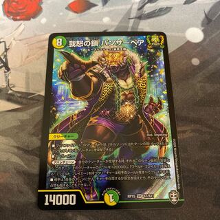 我怒の鎖 パンサーベア