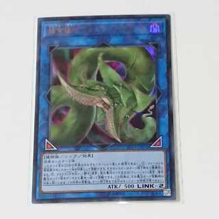 【遊戯王】捕食植物ヴェルテ・アナコンダ