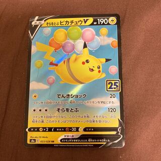 PikachuV RR flying in the sky