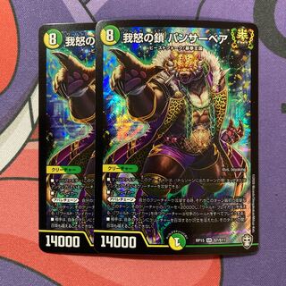 我怒の鎖 パンサーベア SR