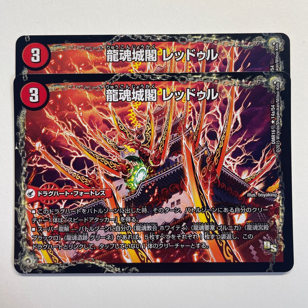 Ryukonjokaku Reduru|Kyokushin Ryukon All Over the World (bottom) x 2