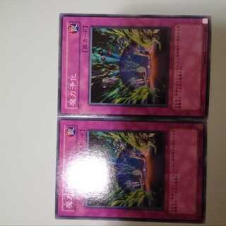 2 Spell Purification