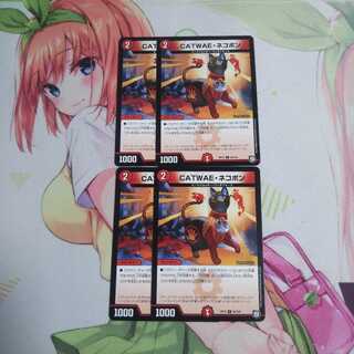 CATWAEネコボン 未使用