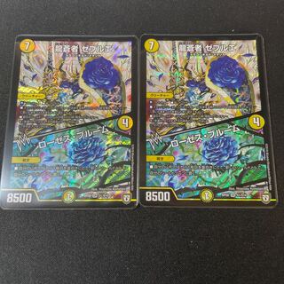 Ryusoja Zebulae｜Roses Snubbullum SR 2 copies