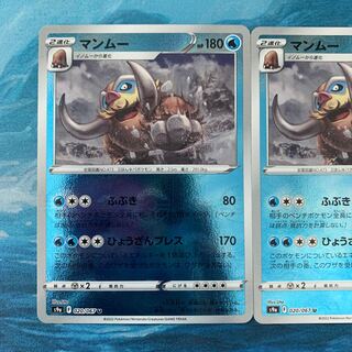 2 pokekas Mamoswine (mirror)