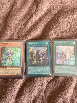 Water Master of the Holy Temple Set