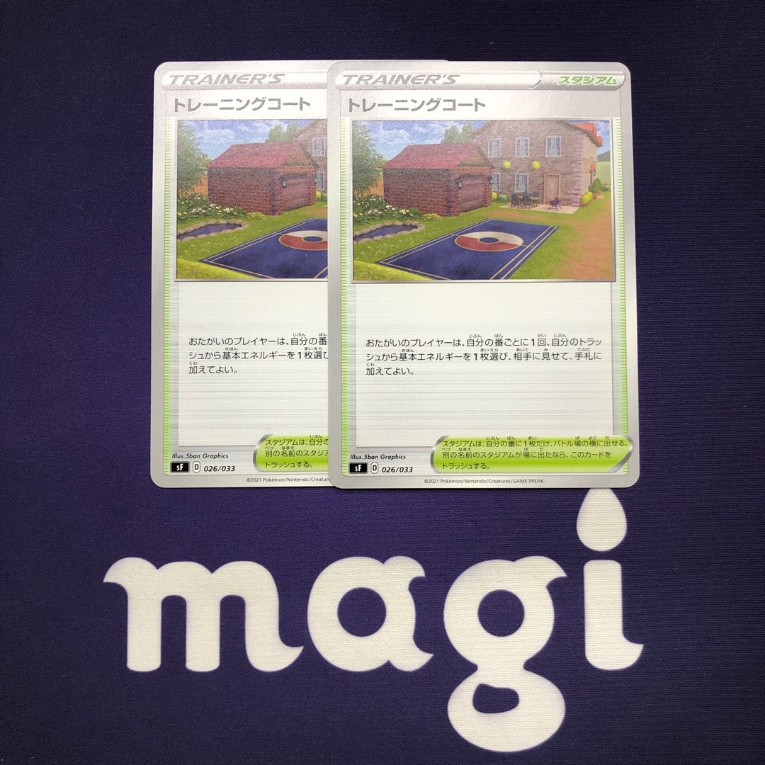 Training Court Set of 2