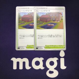 Training Court Set of 2