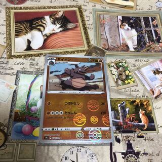 Fighting Rhydon☆Miller