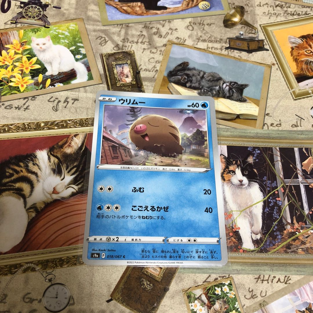 水 マンムー 進化セットの通販 Umana Magi トレカ専用フリマアプリ