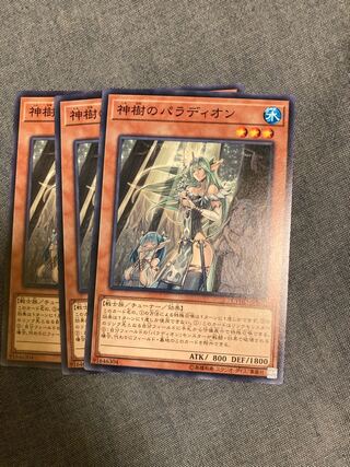 Madlace 3196 Crusadia Arboria Normal