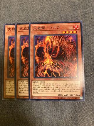 Madlace 3211 Tianwei Dragon - Manila Normal