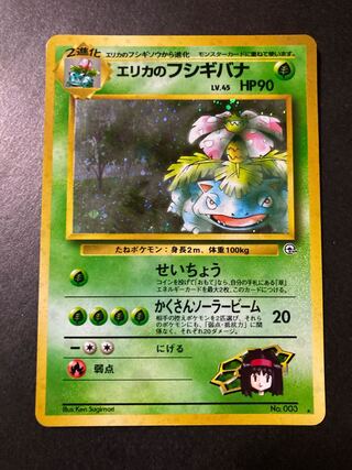 Erika's Venusaur Old Back