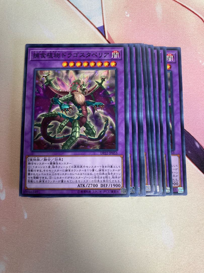 Predaplant Dragostapelia