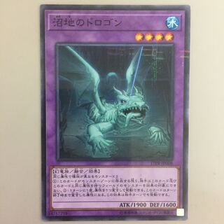 沼地のドロゴン ノーパラ