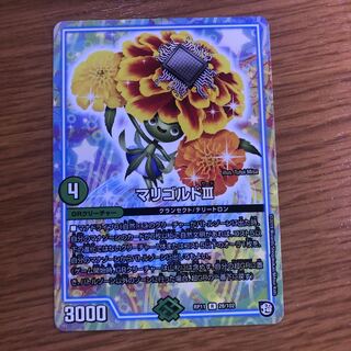 マリゴルドサード